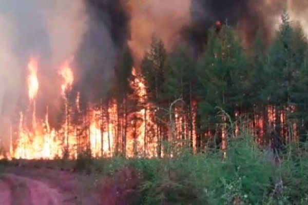 С заботой о природе С заботой о природе