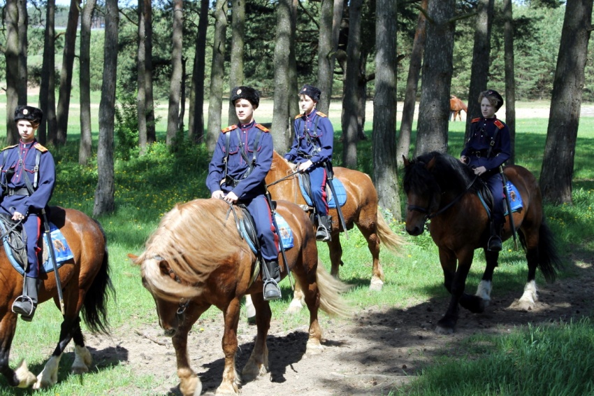 Соревнования по конному спорту прошли в Калуге Соревнования по конному спорту прошли в Калуге