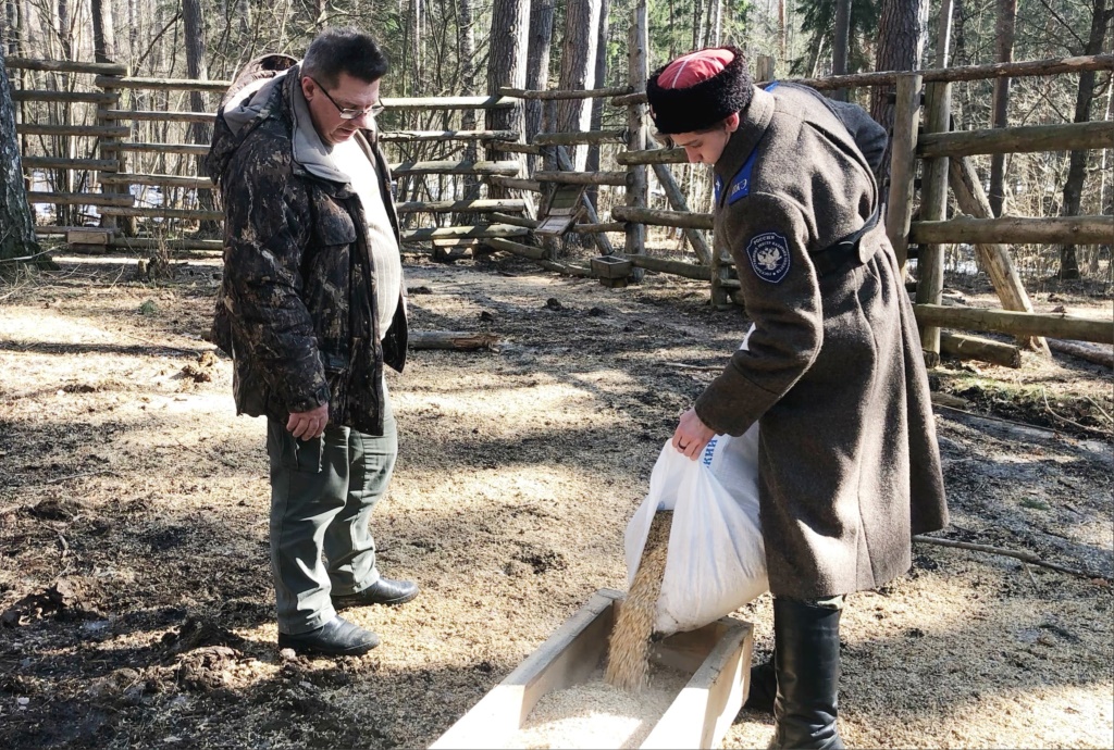 Совместив теорию с практикой