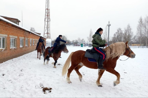 Конноспортивный Новый год