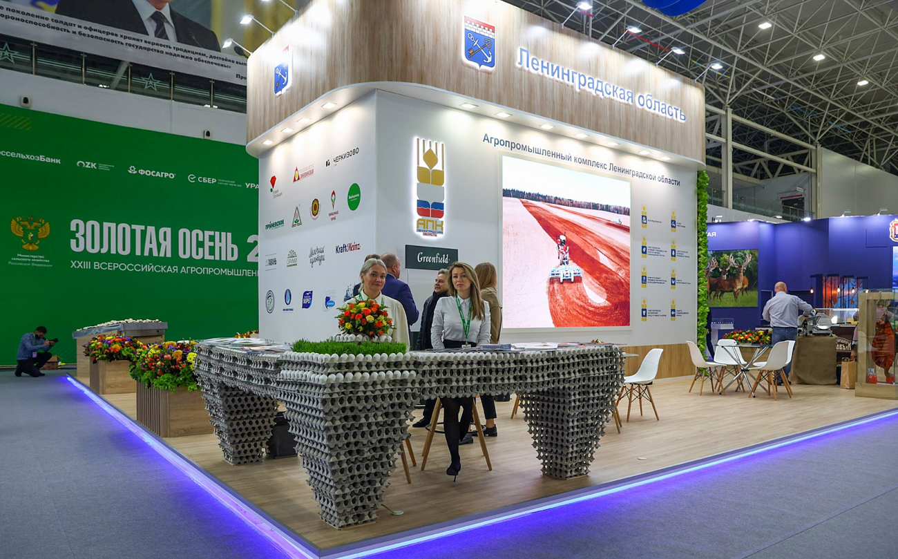 Золотая осень - 2025
