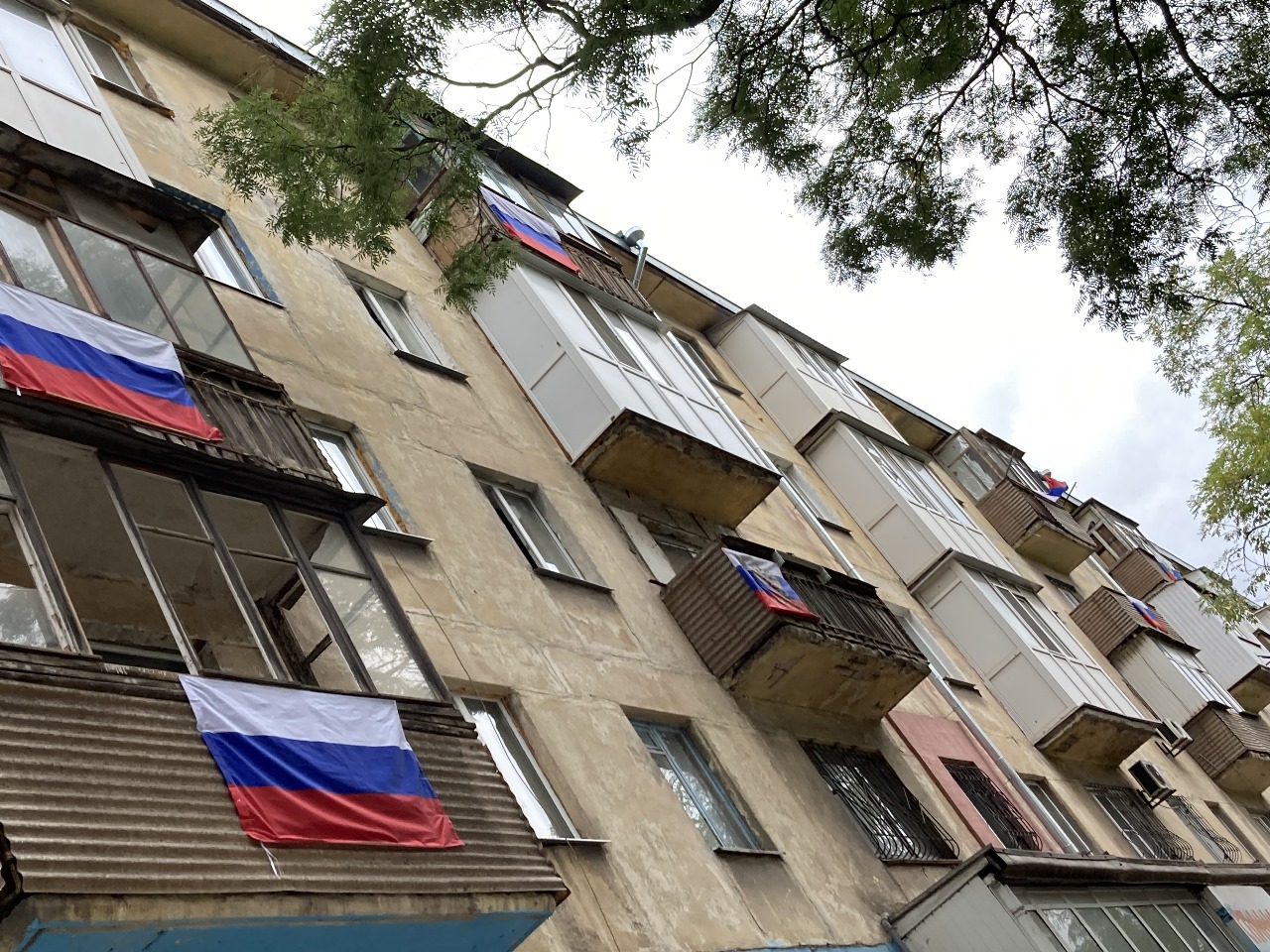 Тепло немеркнущего света 