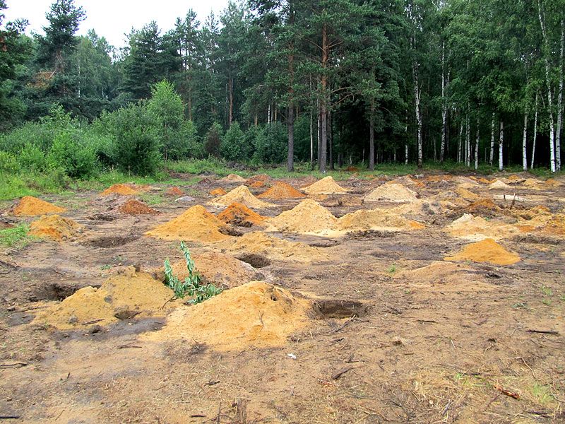 Чтоб хоть кого-то имя воскресить и в путь последний с честью проводить