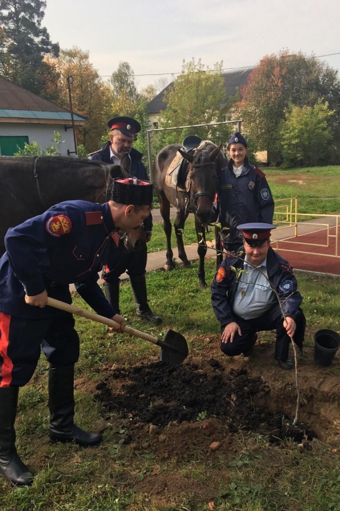 Посади свое дерево Посади свое дерево