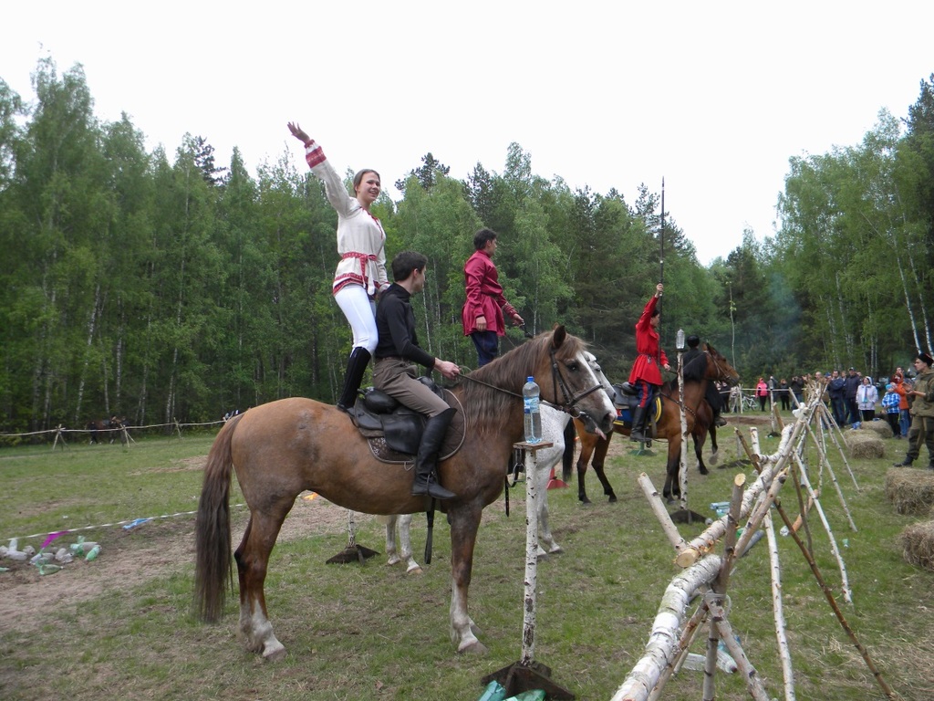 Казачьему роду нет переводу