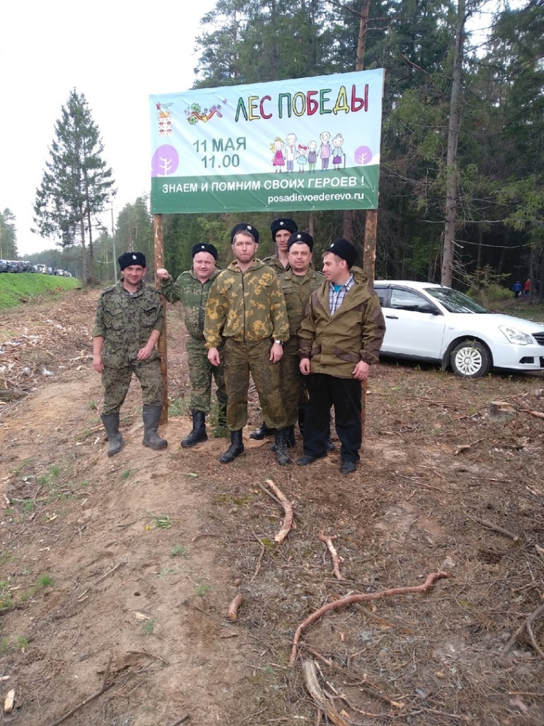В Подмосковье казаки посадили молодой лес