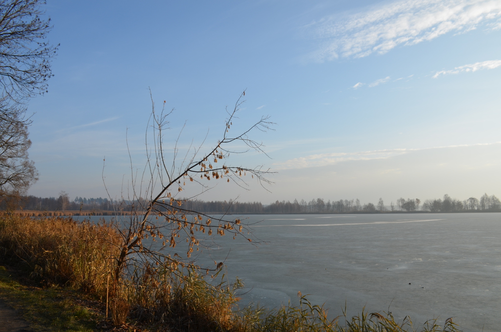 DSC_0458.JPG