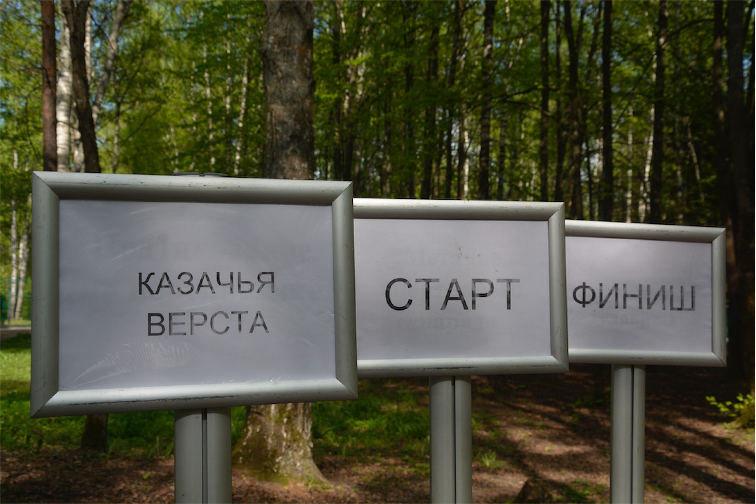 Рекорды «Казачьего сполоха»