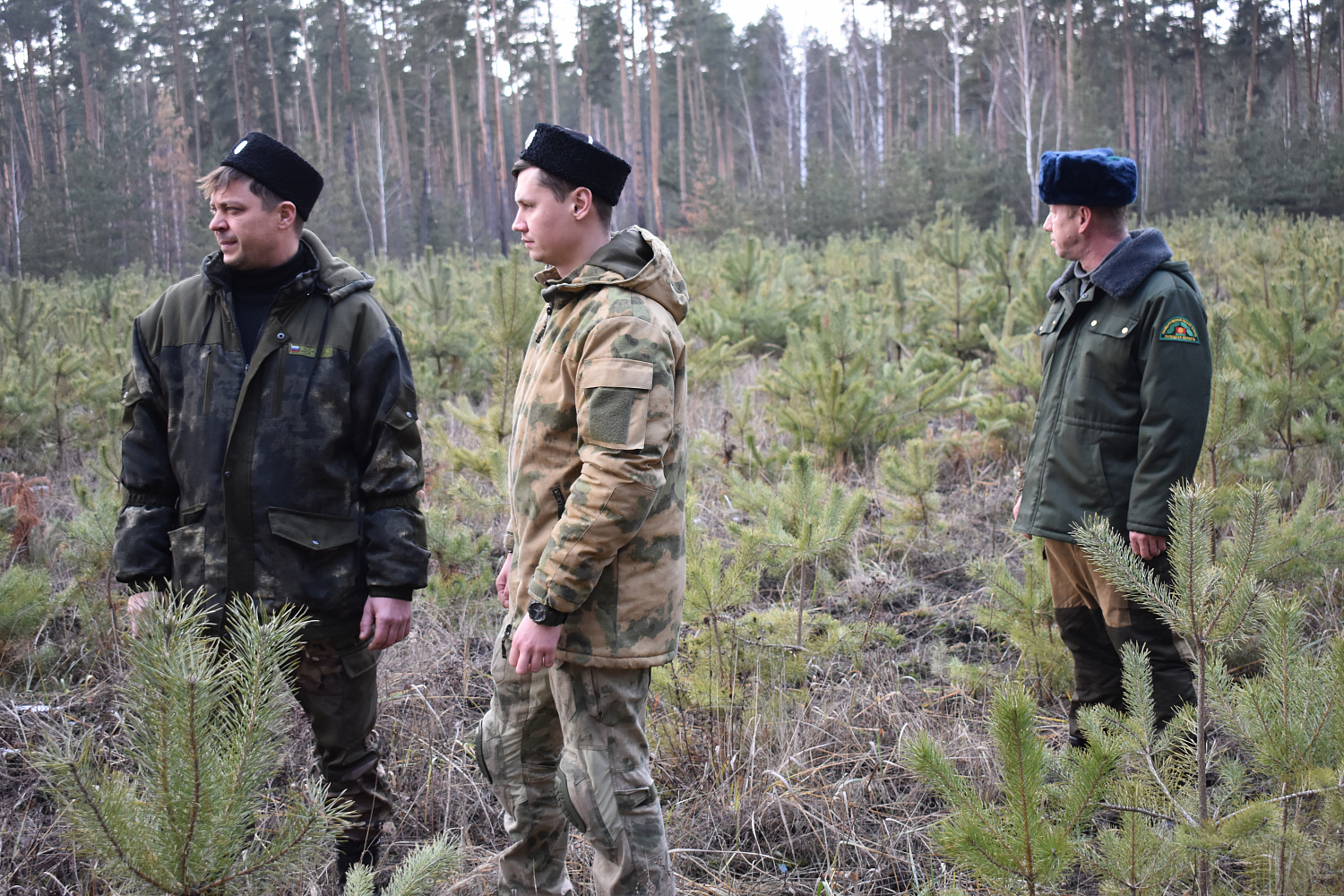  Порядок на своей земле